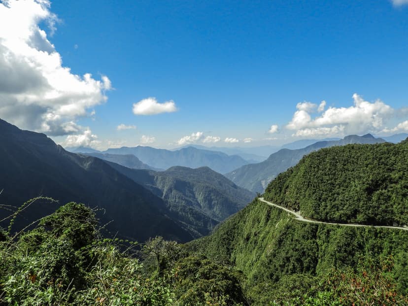 Cloud Forest Safari