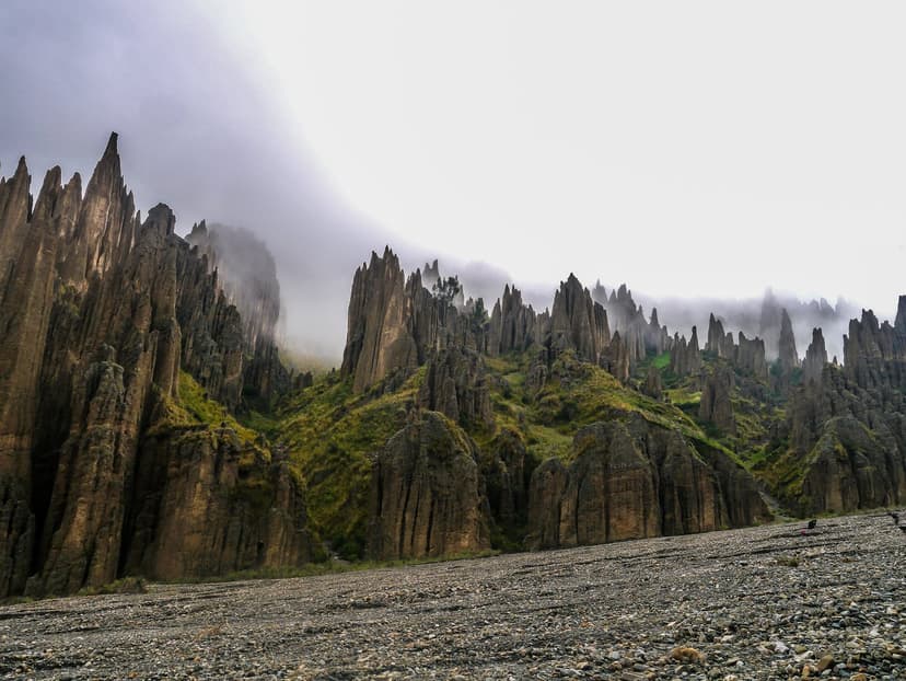 Valle de las Ánimas Safari